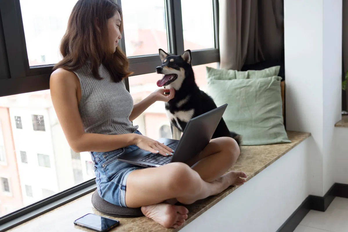 Como adaptar um cachorro filhote em apartamento pequeno