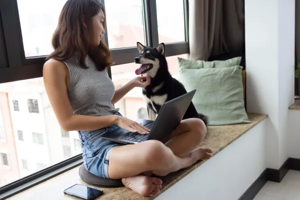 Como adaptar um cachorro filhote em apartamento pequeno